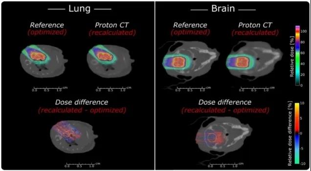 在小鼠模型上做的肺部和脑部肿瘤的治疗计划。(图片来源于参考文献)