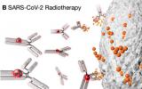 放射疗法可能是治疗COVID-19患者的最新选择