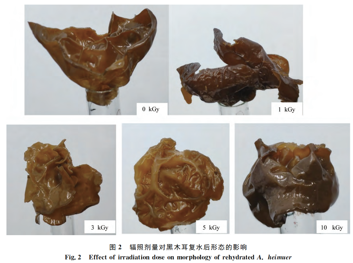 辐照对黑木耳品质的影响