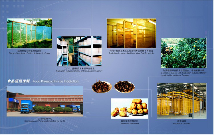 关于食品辐照技术的应用领域