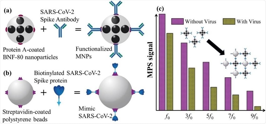 功能化磁性纳米粒子可快速灵敏地检测SARS-CoV-2