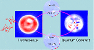 量子相干可视化！单<font color=red>分子</font>相干调制显微镜成像技术助力精准医学