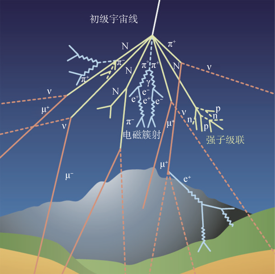 知道了缪子，你知道缪子成像吗?