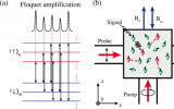 新型自旋量子放大技术灵敏度达飞特斯拉水平