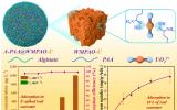 中国科学院大连化学物理研究所开发出可实现高效海水提铀的复合吸附材料